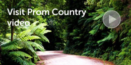 Visit Prom Country video