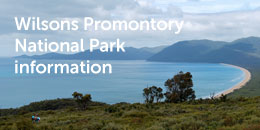 Wilsons Promontory National Park information